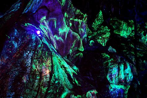 Be assured of your safety during your fun day at lost world of tambun. The Luminous Forest of Tambun's Lost World ⋆ Home is where ...