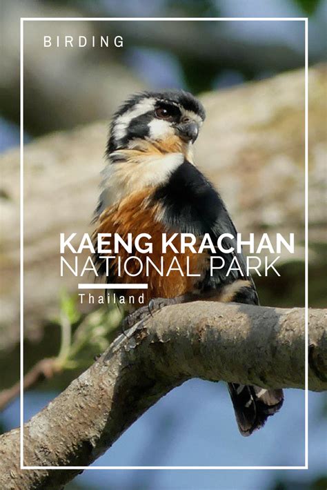 Kaeng Krachan National Park National Parks Bird Watching Southeast