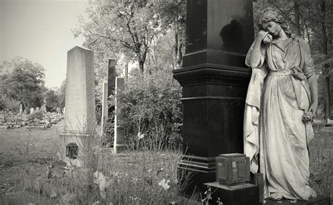 Es Lebe Der Zentralfriedhof Sabrightside