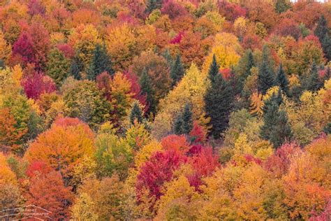 2020 New England Fall Foliage Update An Early Peak Heads For Southern