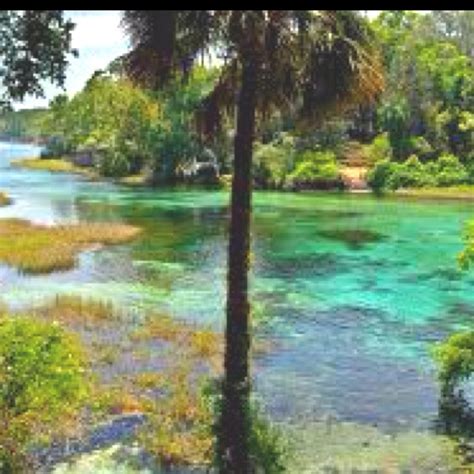 Rainbow River Dunnellon Fl Cannot Wait To Go Back And Dive Again