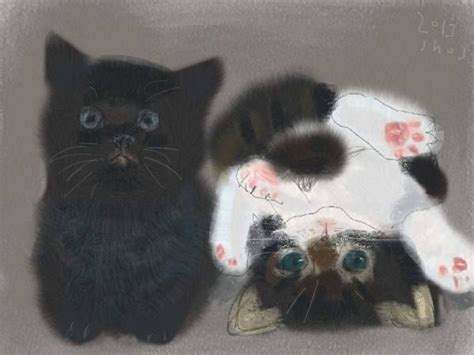 Shozo Ozaki Иллюстрации кошек Котята Кошачьи картины