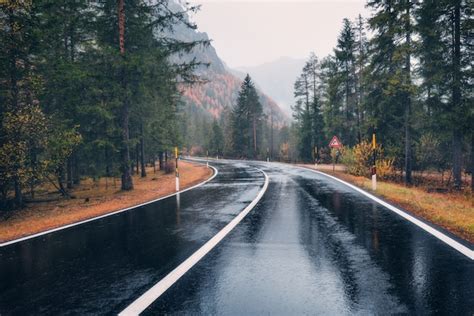 Premium Photo Road In The Autumn Forest In Rain Perfect Asphalt