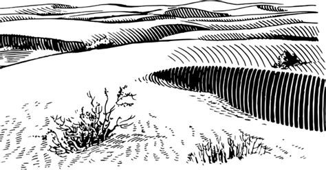 Desert Sand Png Transparent Picture Png Mart