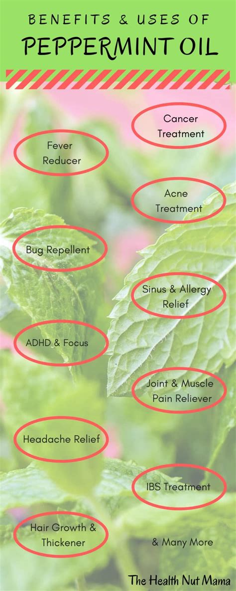 Peppermint Oil Uses And Benefits The Health Nut Mama