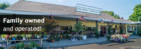 Cheshire Nursery - Garden Center and Flower Shop