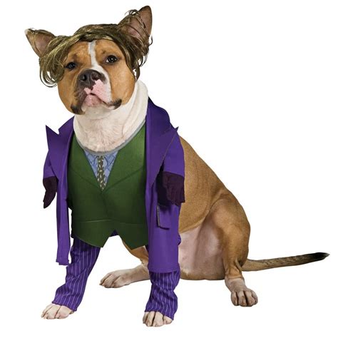 20 Cute Halloween Costumes For Extra Large Dogs Up To 3xl Hey