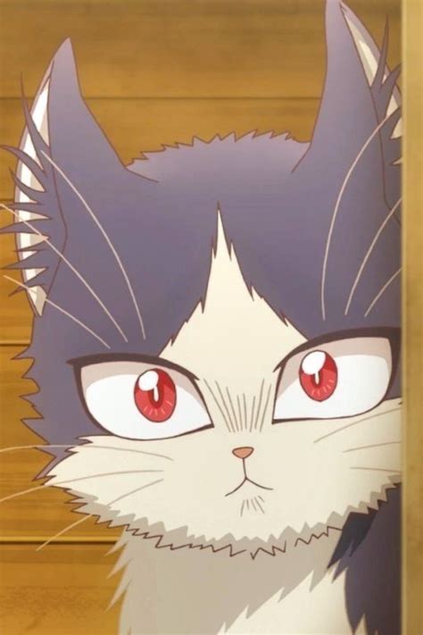 Doukyonin Wa Hiza Is Freaking Cute Anime Shelter Anime Anime