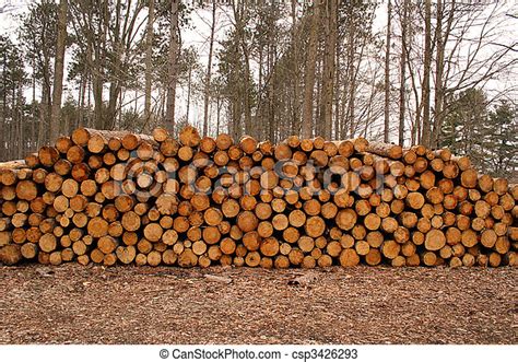 Wood Log Pile Background Canstock