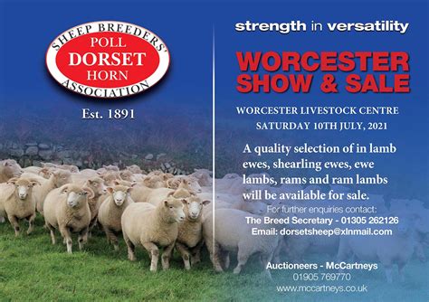 The Dorset Horn Sheep Breeders Association Dorset Sheep Poll Horn