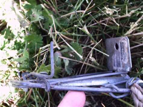 We all have the right to. How to Trap and Kill Gophers : 5 Steps - Instructables