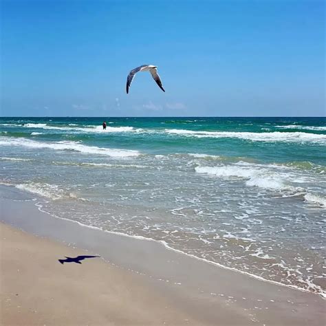 Malaquite Beach In Corpus Christi Texas Things To Do Amazingworld