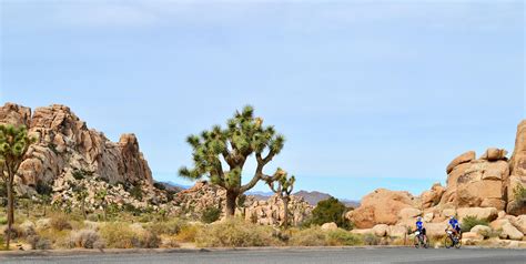 California Palm Springs And Joshua Tree National Park 6 Days By