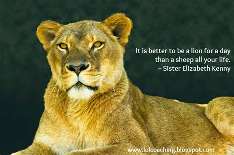 Do female lions run the pride? Lion And Lioness Love Quotes. QuotesGram