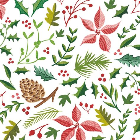 My Christmas Foliage Illustrations With Holly Berries Pine Cones