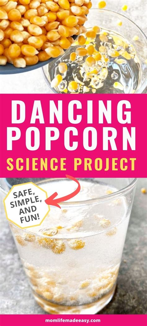 Dancing Popcorn Science Project Mom Life Made Easy