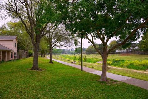 The Best Shade Trees For North Texas Progardentips