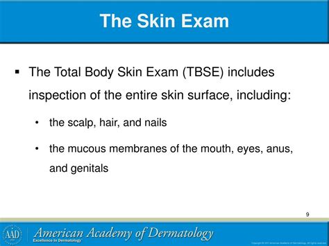 Ppt How To Perform A Total Body Skin Exam Powerpoint Presentation Free Download Id 2933047