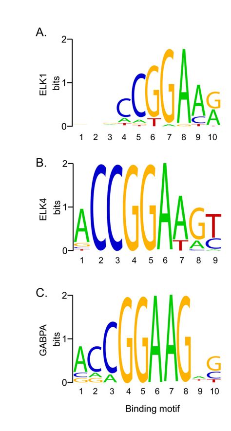Sequence Logos Of Ets Transcription Factor Binding Sites Sequence
