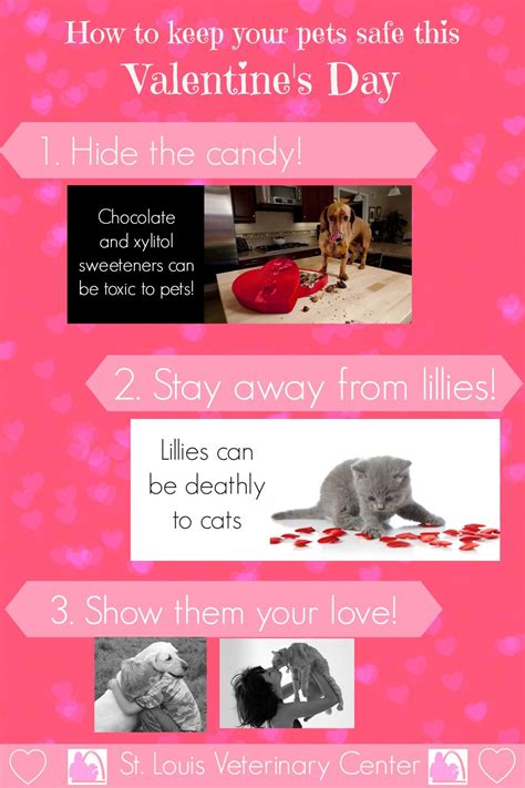 Valentine's Day Hazards. #pets #hazards #Valentine's | Valentine's Day | Pinterest | Pet health 