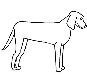 How to Draw Dogs - 50 Best Dog Drawing Tutorials The dog is sitting in his a realistic pose.