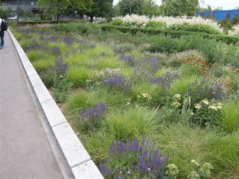 To perfect piet's overall planting style all of these courses are recommended. Potters Field Park, London | Landscaping plants, Plants ...