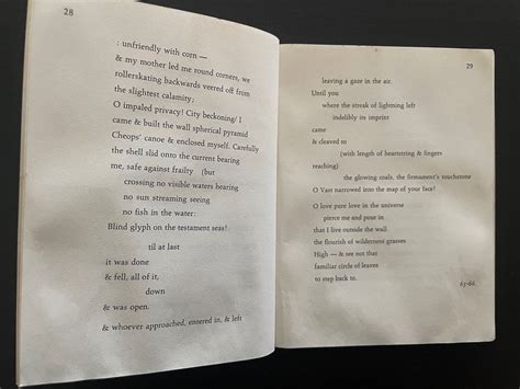 Mavin The Pocket Poet Series Poems To Fernando By Janine Pommy Vega