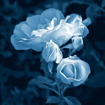 Jennie Marie Schell Artwork Collection Roses In Blue Floral Art Collection