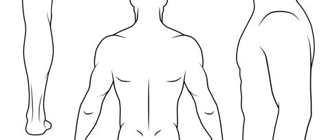 Vector Outline Illustration Male Body Parts Of Body For Tattoo Example