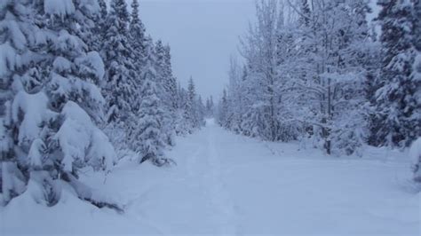 Yukon Snowfall