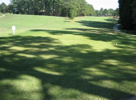 Bermuda grass grows very quickly. TifGrand Bermudagrass - Georgia's Integrated Cultivar ...