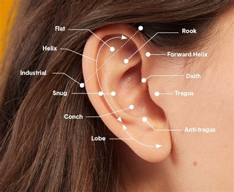 Ear Piercing Overview Banter