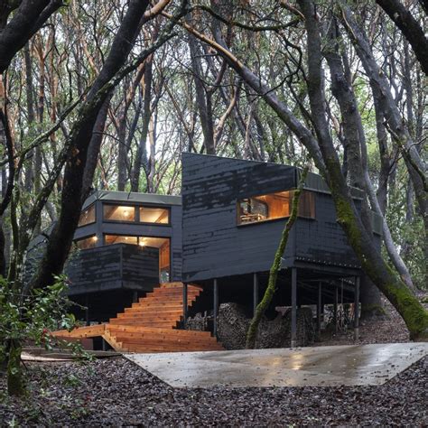 The Forest House In Northern California Ignant