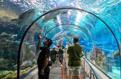 10 Largest Aquariums In The World Pepnewz