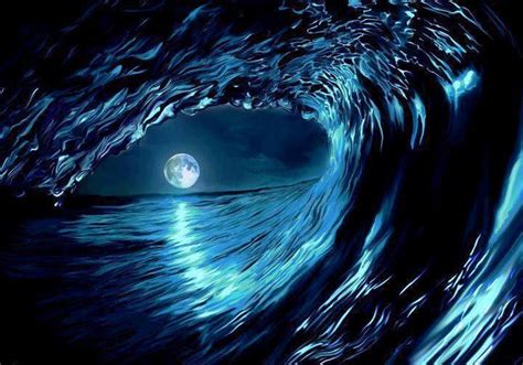 78 Best Images About Ocean Waves On Pinterest Surf Sea