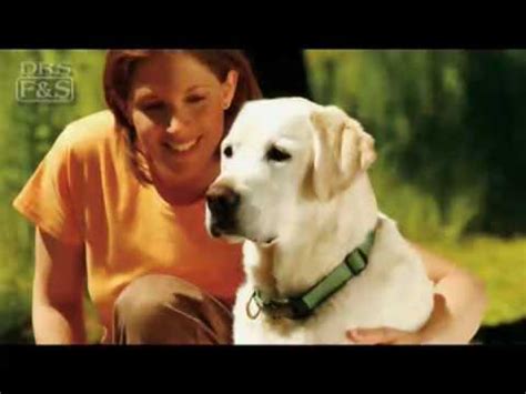 Make sure the tape is neither too tight/too loose 7. How to Measure Your Dog for a Collar | DrsFosterSmith.com ...