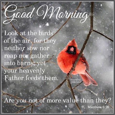 Morning prayers are a great way to focus and ask god for strength and peace for the day. Inspirational Good Morning Quote Pictures, Photos, and ...