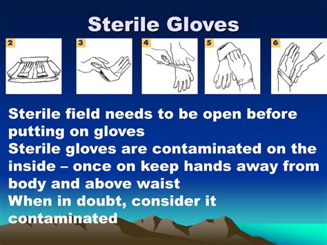 Wash and dry your hands. PPT - Sterilizing With an Autoclave PowerPoint ...