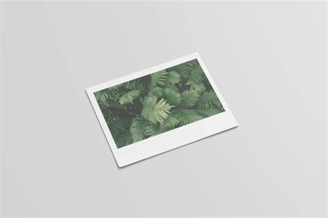 Download Polaroid Mockup (4 Sizes) By graphiccrew | TheHungryJPEG.com