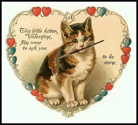 10 Bad Valentines Day Poems Written By Cats Catster