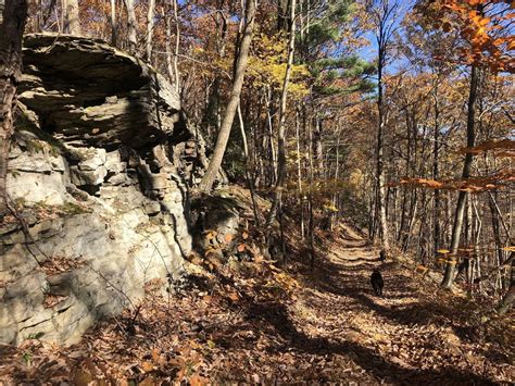 Best Trails In Pinchot State Forest Pennsylvania Alltrails