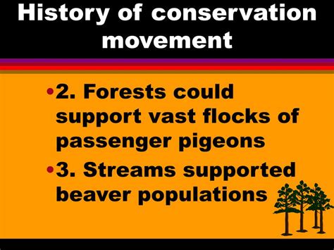 Ppt A History Of Conservation In The United States Powerpoint