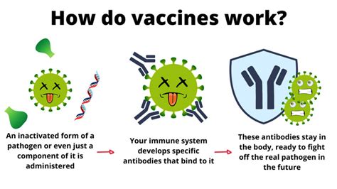 Vaccines In The Spotlight Science In School