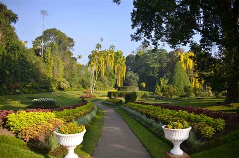 Peradeniya Botanical Gardens Great Gardens Of The World