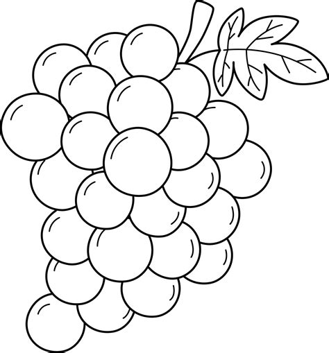 Grapes Coloring Vector Art Icons And Graphics For Free Download