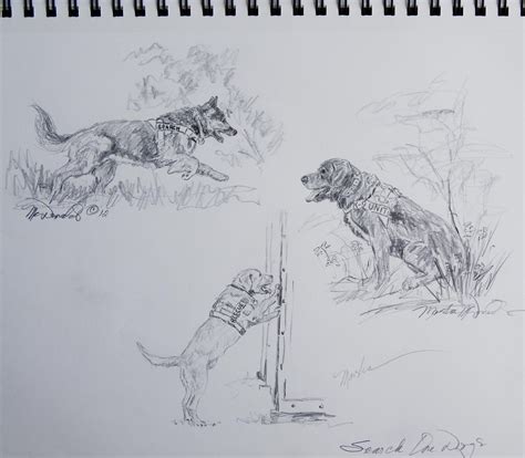 From My Sketchbook For Future Paintings Search And Rescue Dogs At