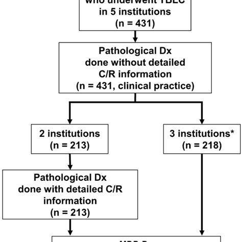 Proposed Management Algorithm For Progressive Fibrosing Interstitial Download Scientific