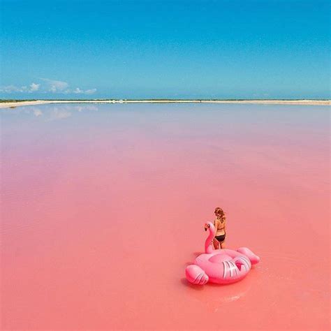 The Pink Lagoon in Yucatán Mexico by anna everywhere travel ctrip
