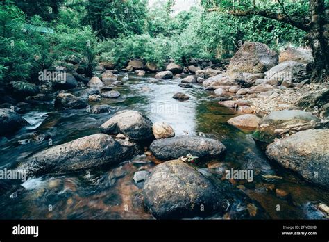 Jungle Landscape With Amazing Stream At Deep Tropical Rain Forest