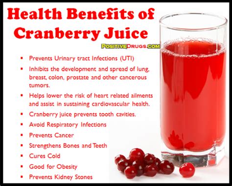 Cactus juice has shown to help to prevent inflammation in the muscles, arteries, gastrointestinal tract and cardiovascular region. Pin by Ashley Masengill on frugal, holistic & clean living ...